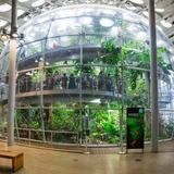 California Academy of Sciences