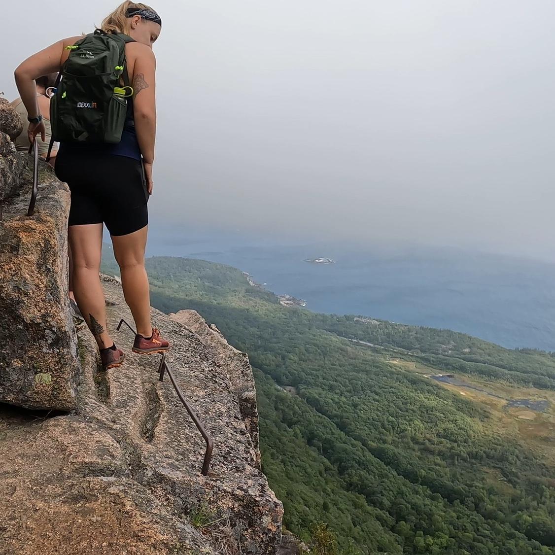 The Precipice
