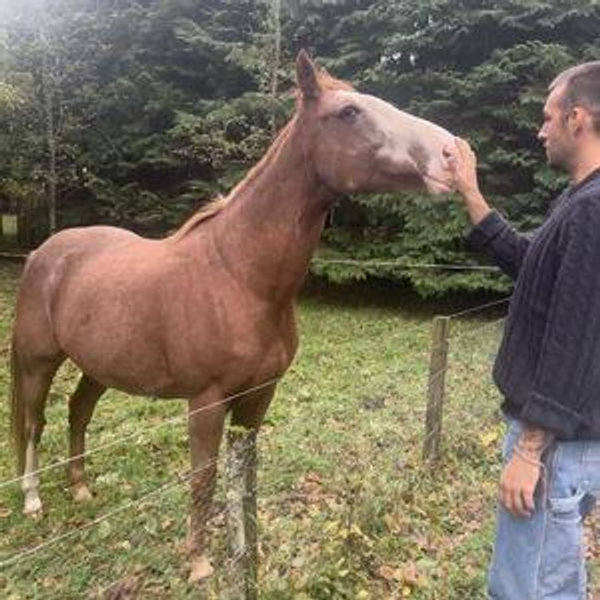 Horseback Riding in the Scottish Highlands