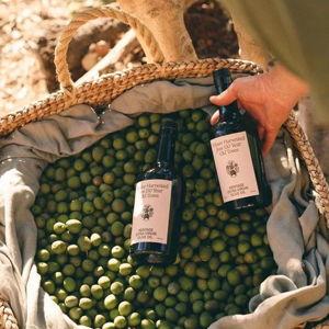 Honeymoon Olive Oil Tasting Tuscany