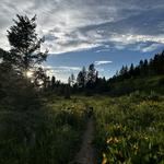 Teton Pass