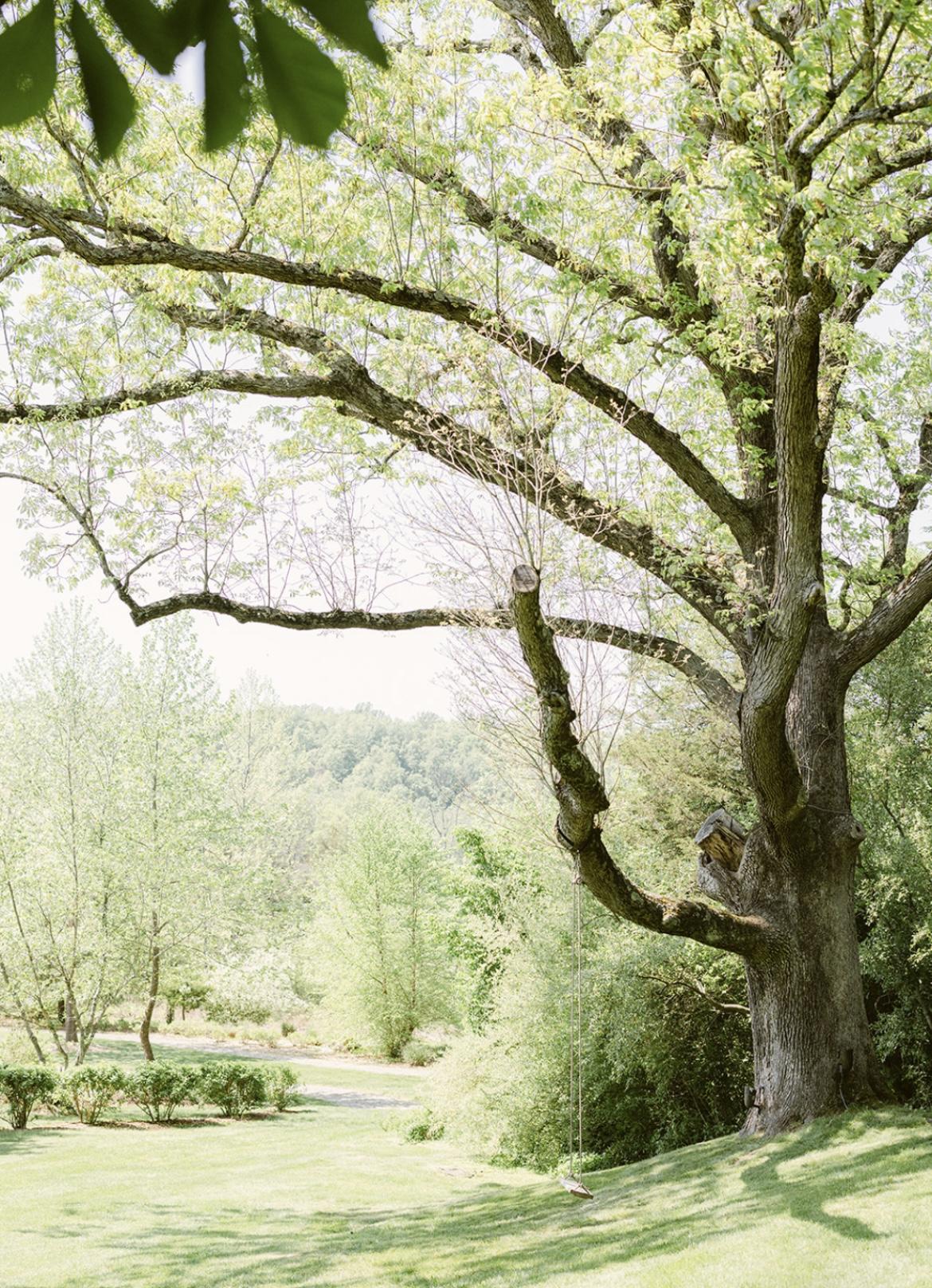 The Wedding Website of Alyssa Kirby and John Montani