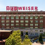 Budweiser Brewery Experience