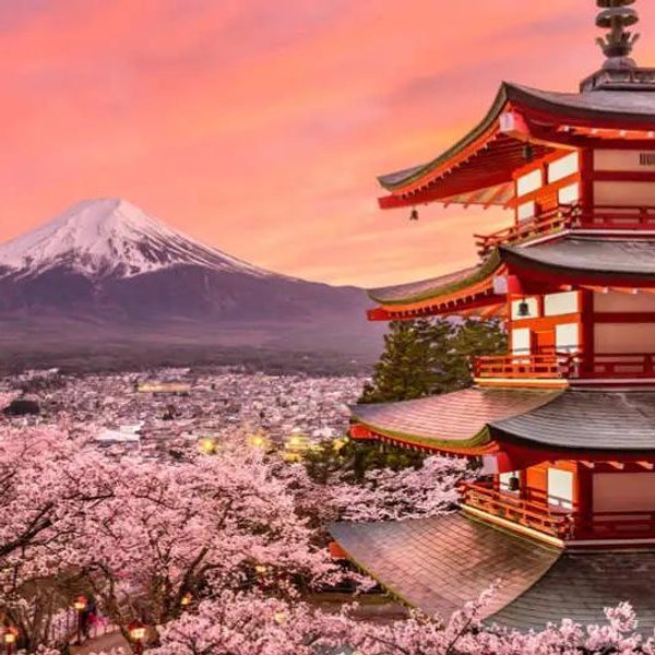 Japan Honeymoon Fund