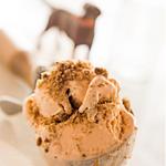 Brown Dog Ice Cream