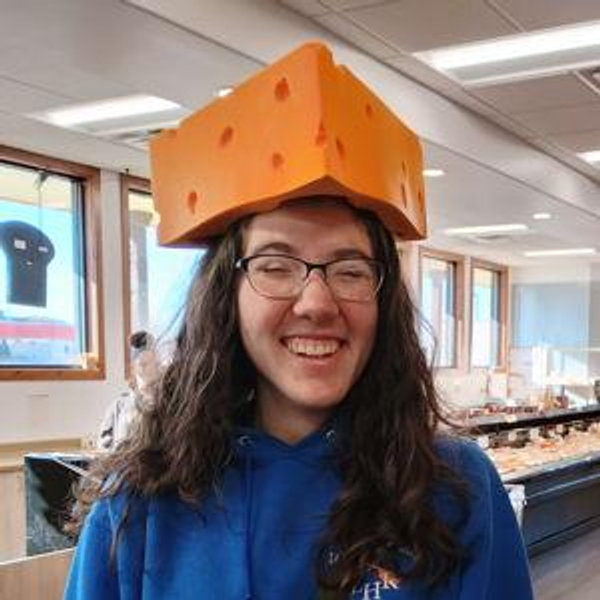 Wisconsin Cheesehead Hat