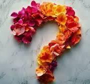 The Wedding Website of Michaella Davis and Shanora Williams