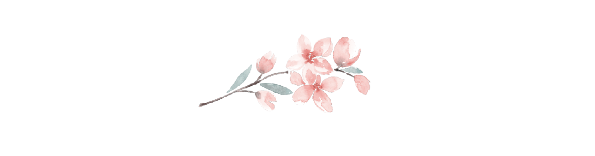 The Wedding Website of Shane Ford and Melissa Mott