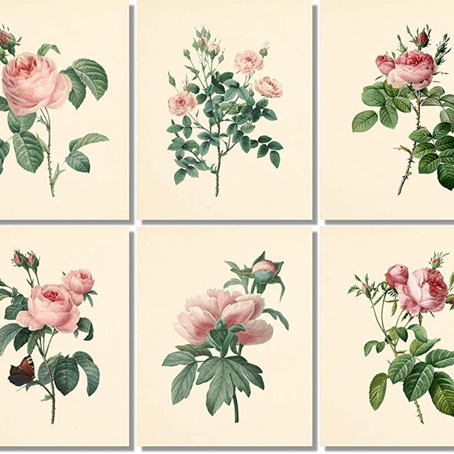 Flower Wall Art - Vintage Pink Roses Botanical Prints (Set of 6) - 8x10 - Unframed - Floral Decor