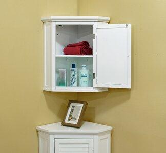 Beachcrest HomeBroadview Park 22.5" W x 24" H Wall Mounted Cabinet