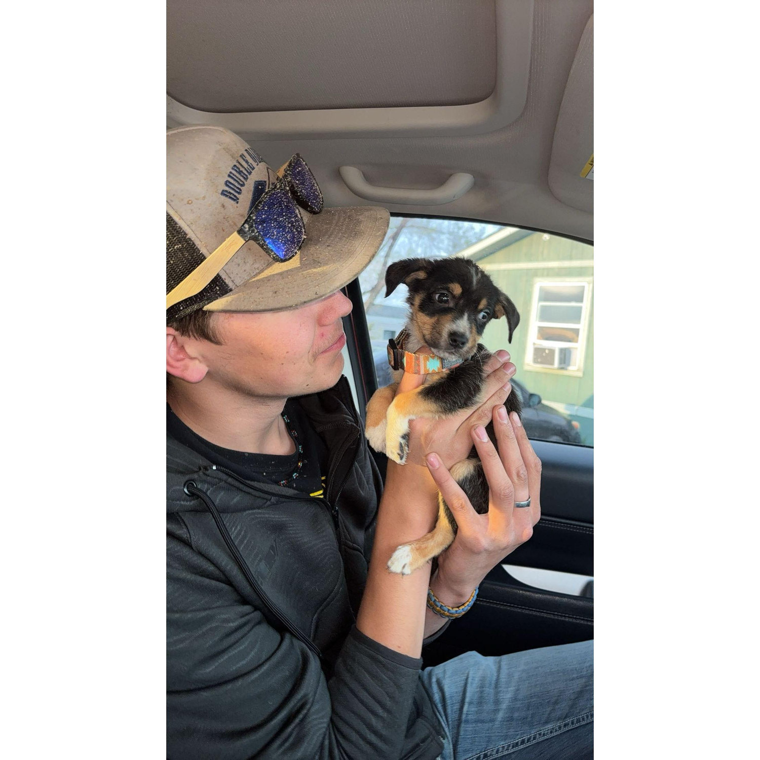 Our first dog!
