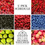 The Gorge White House