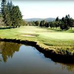 Golfing