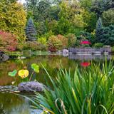 Anderson Japanese Gardens