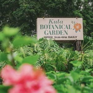 Kula Botanical Garden Day trip