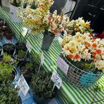 Fayetteville Farmer's Market & Historic Downtown Square