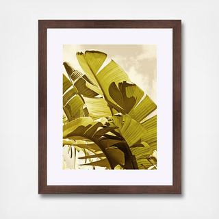 Palm Fronds I Framed Wall Art