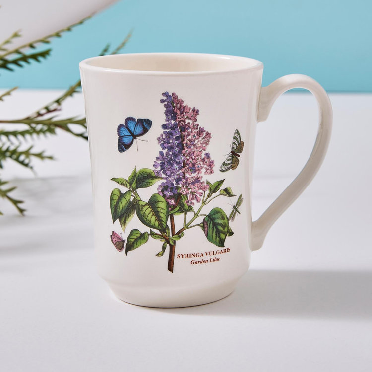 Portmeirion Botanic Garden Lot De 6 Tasses à Thé 0,2 L Avec Soucoupes