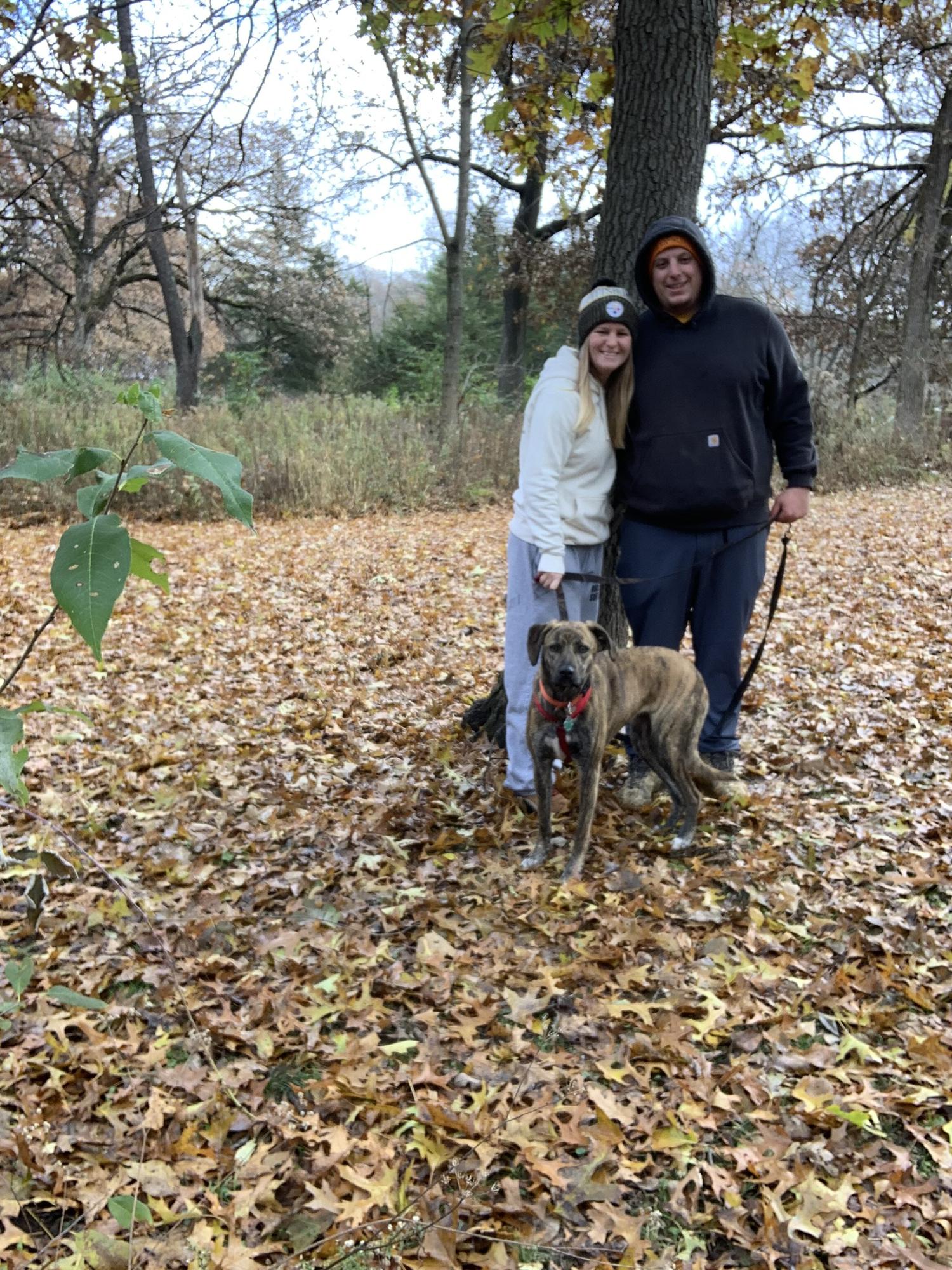 Hiking at some Forest Preserve