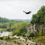 DePauw Nature Park