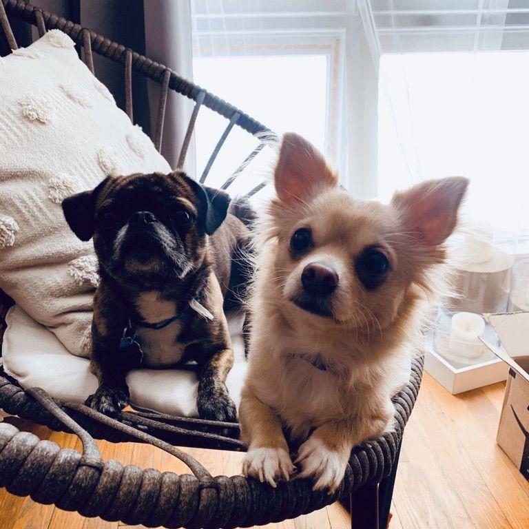 our kids...
