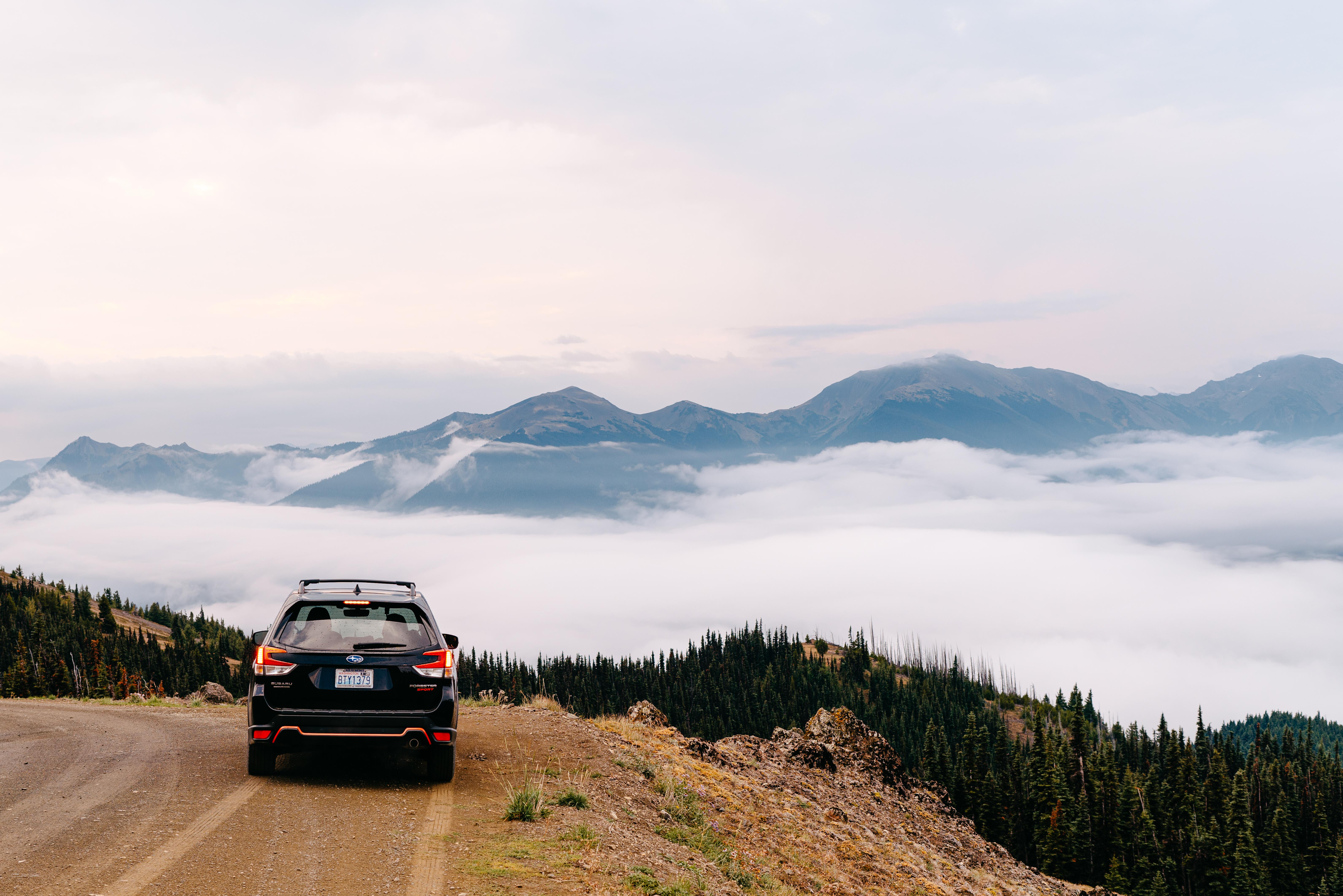 The Wedding Website of Erinn Wagner and Ashish Singh