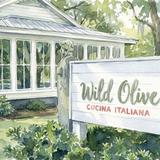 Wild Olive
