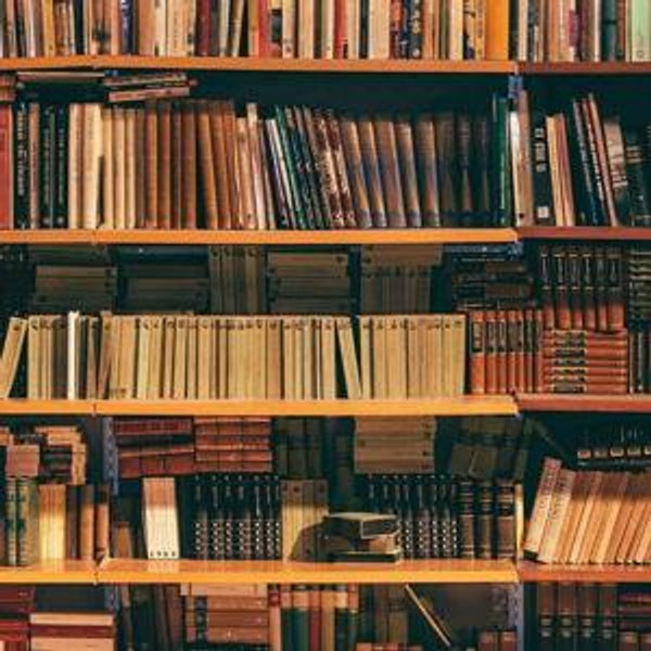 Books at Armchair Books