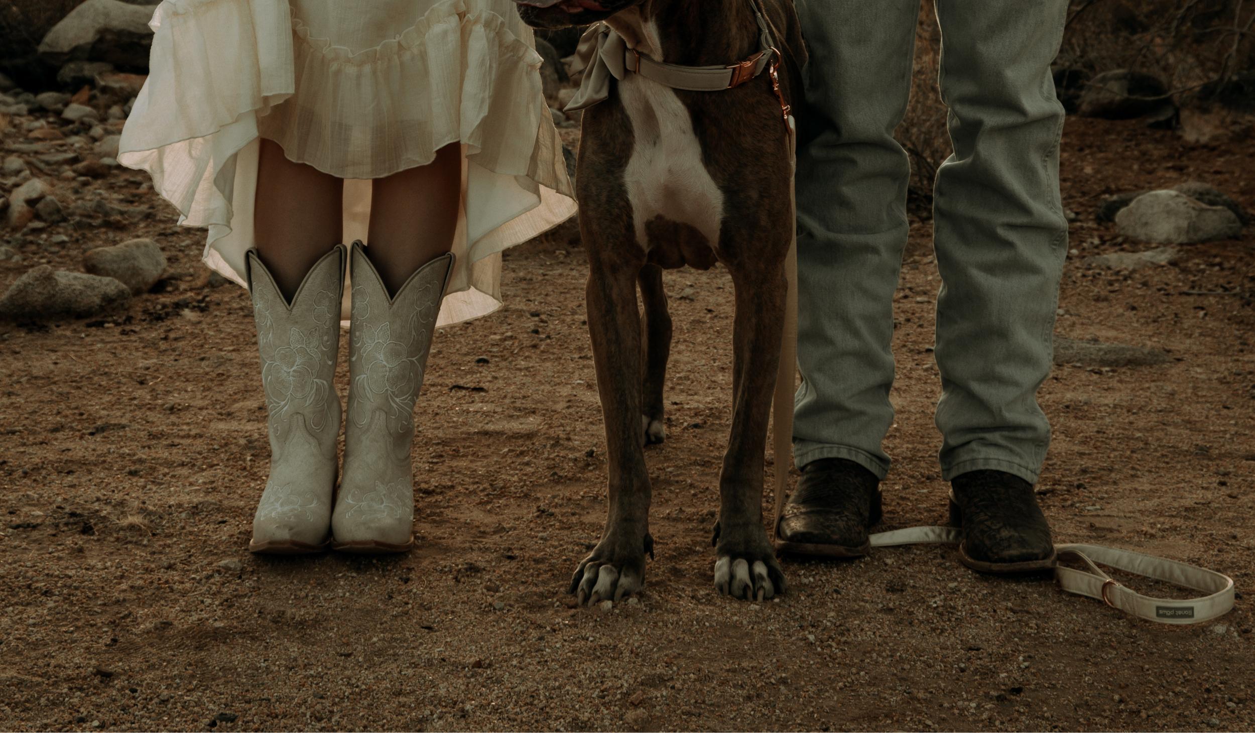 The Wedding Website of Chrishel Bloxham and Joshua Lynch