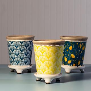 Lemon Rim Footed Planter