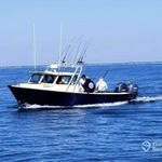 Badfish Charter Fishing