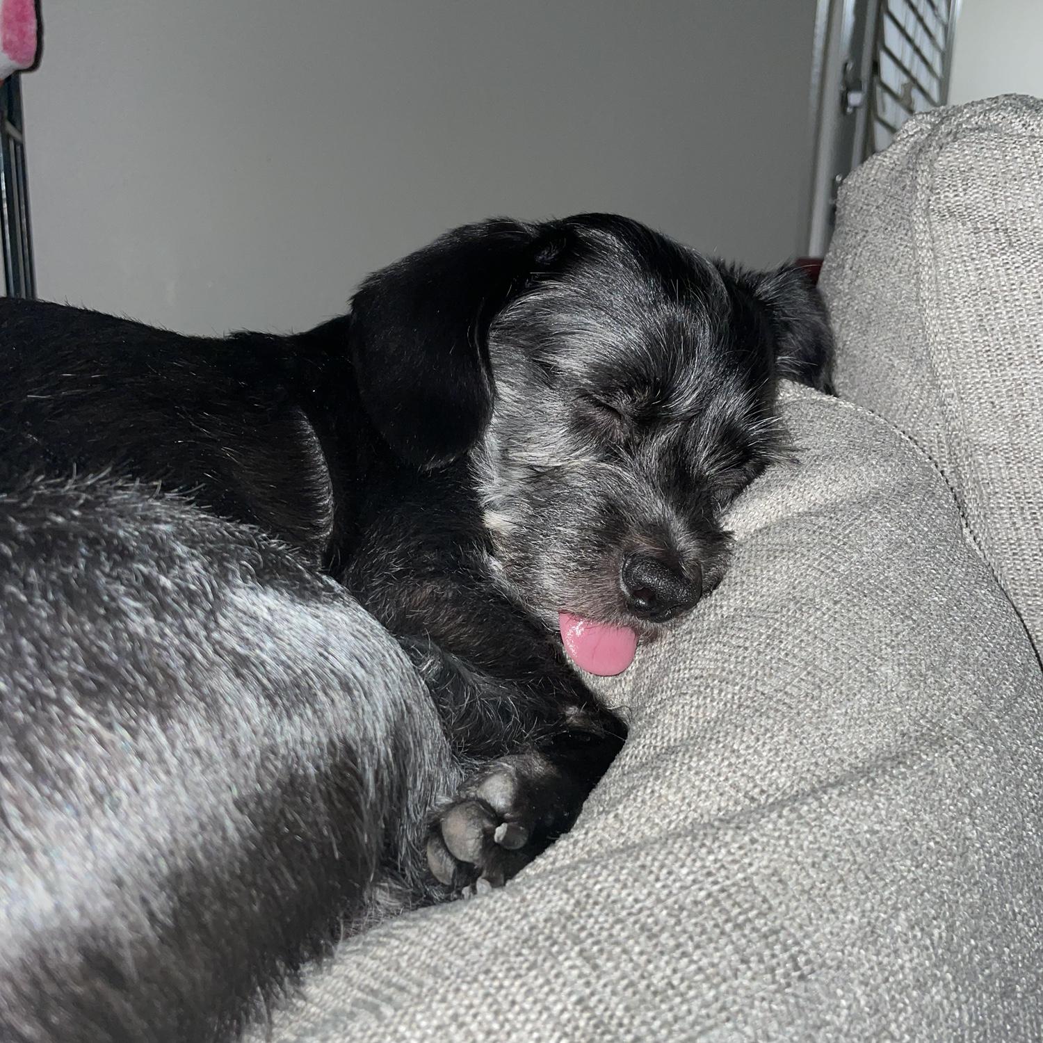 Henry's Ode to Sleep Part 4.