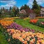 Hershey Gardens