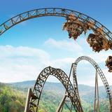 Silver Dollar City