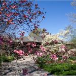 Powell Gardens, Kansas City's Botanical Garden