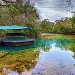 Homosassa Springs Wildlife State Park