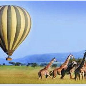 Honeymoon balloon safari