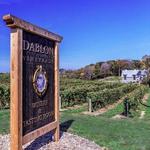 Dablon Vineyards - Winery & Tasting Room