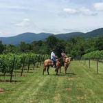 Rebel's Run Trail Ride