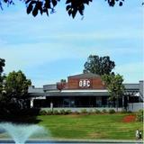 Oscar's Brewing Company