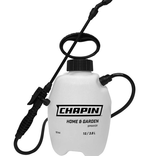 Chapin International 16144 1 Gallon Multipurpose Sprayer for Lawn, Home and Garden,Translucent White