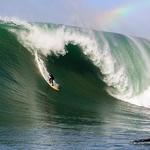 Mavericks