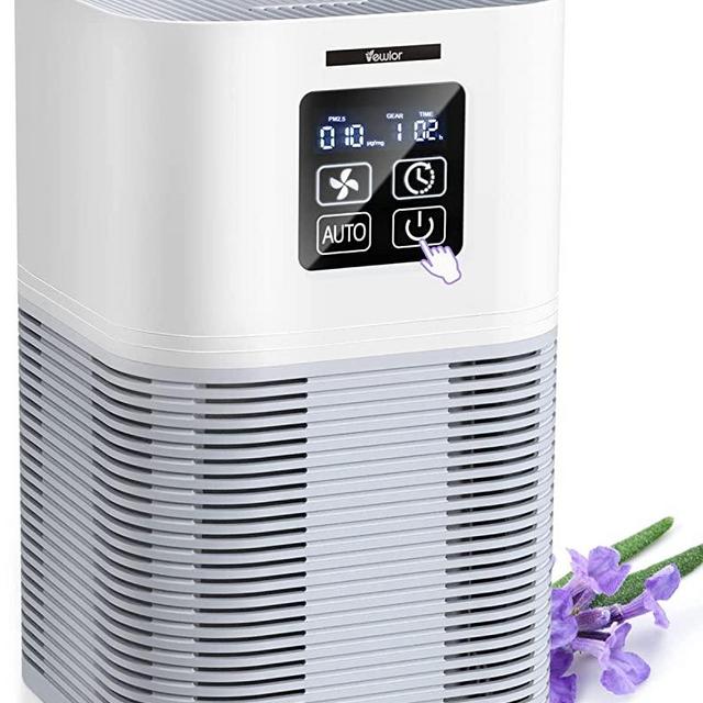 Air Purifier, Home Air Cleaner For Bedroom Large Room up to 600 sq.ft, VEWIOR H13 Ture HEPA Air Filter with Fragrance Sponge 6 Timer Settings, Quiet Air Purifiers for Pets Dander Odor Dust Smoke Pollen