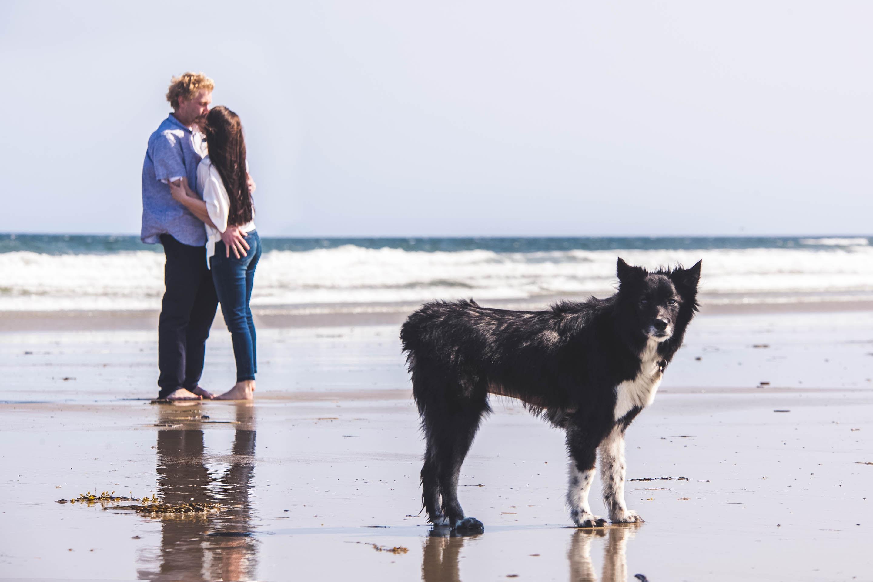 The Wedding Website of Emily Morse and Matt Pehrson