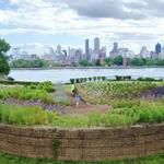 Socrates Sculpture Park