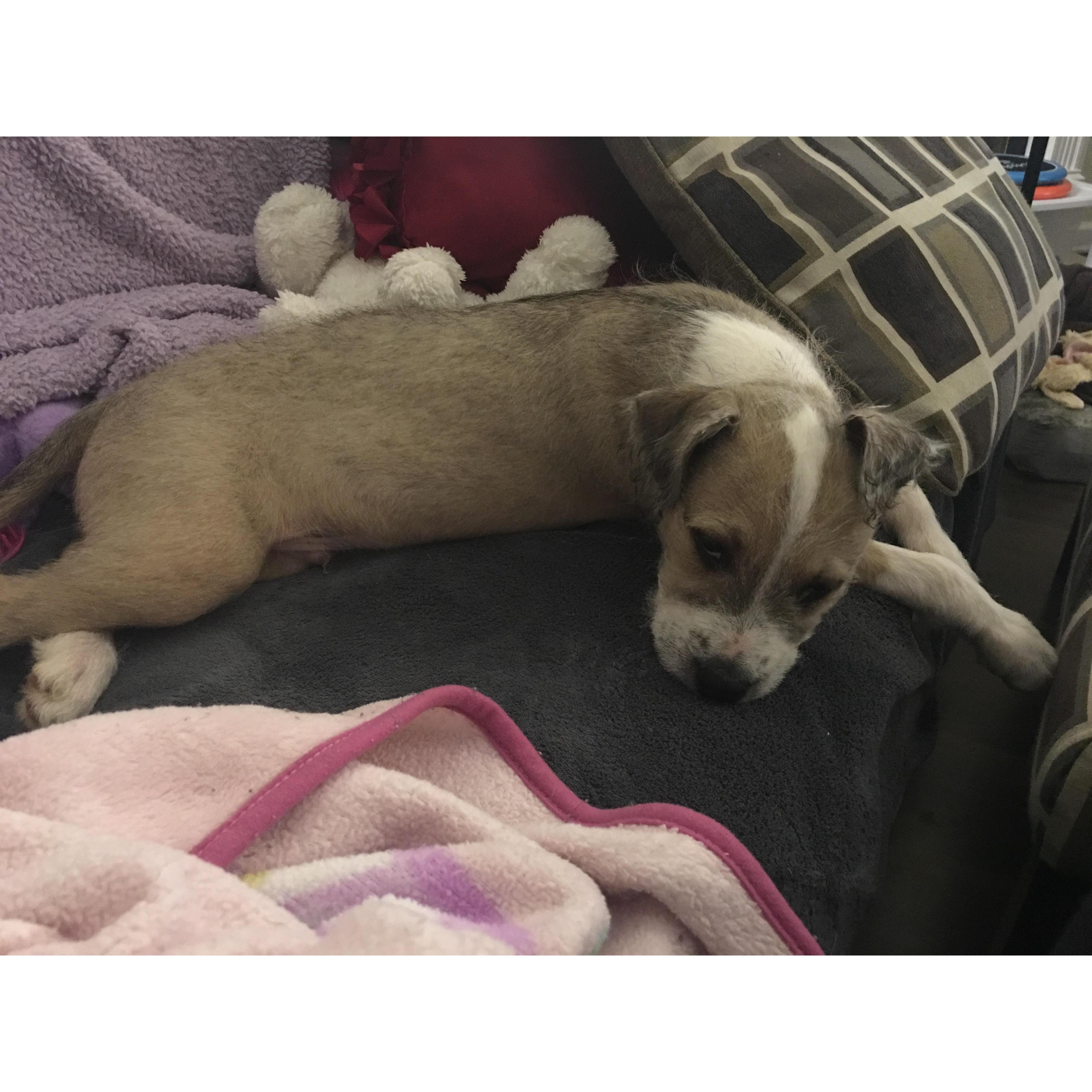Our first adopted baby together