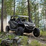 UTV Tour & Whitewater Rafting - Glenwood Adventure Company