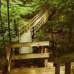 Hogback Ridge Park