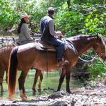 Horseback Riding