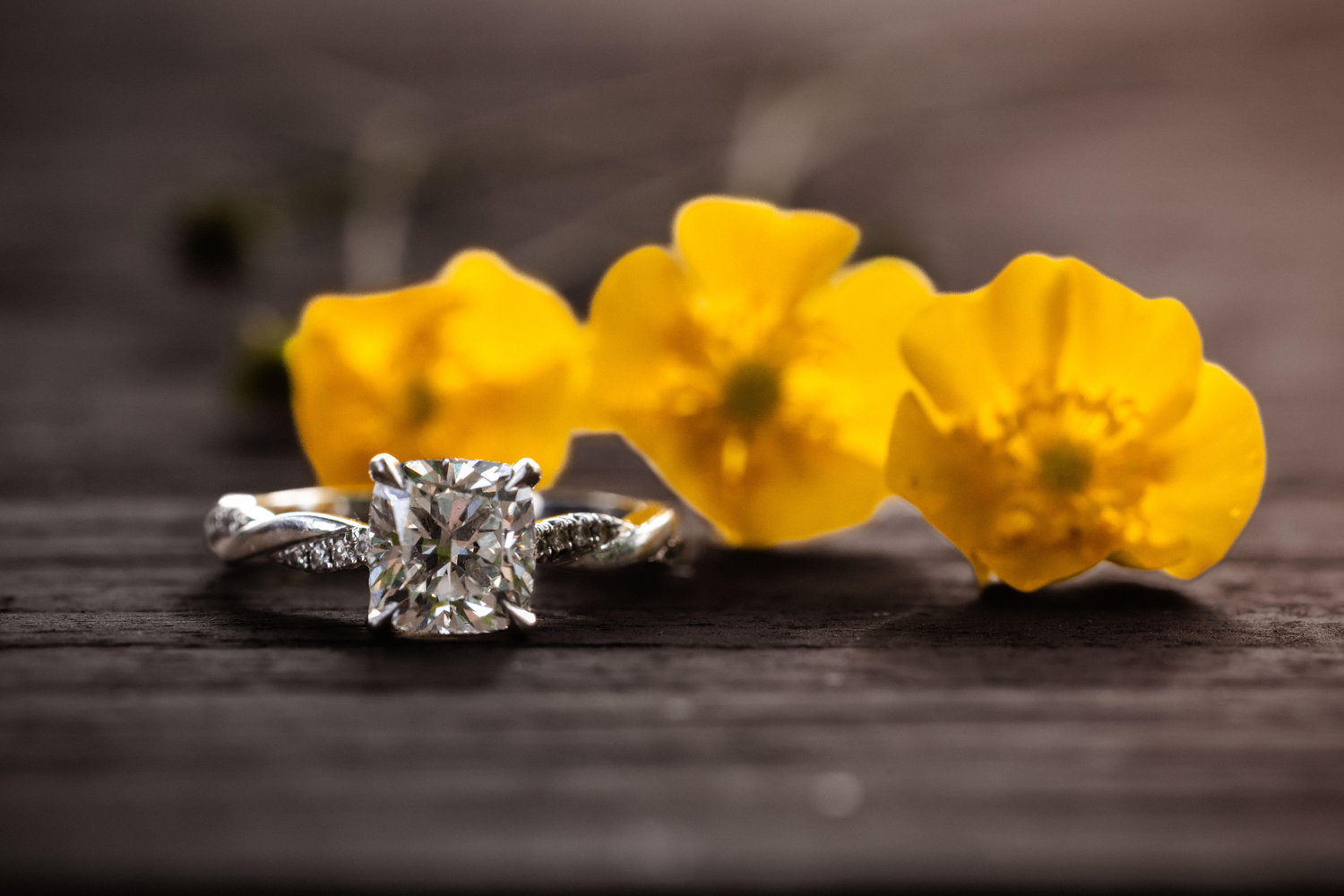The Wedding Website of Jackie Fye and Christopher Palazzolo